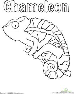 236x301 Photos Chameleon Coloring Pages For Kids,