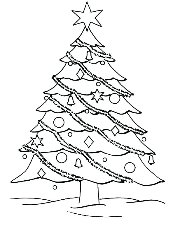 600x789 Free Printable Christmas Tree Coloring Pages Medium Size Of Tree