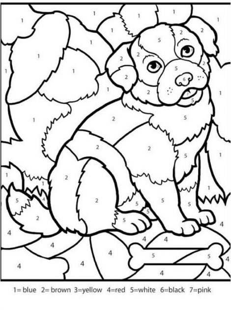 470x630 Color By Number Coloring Books For Adults Dog