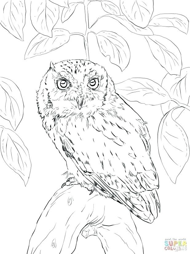 618x824 Colorama Coloring Pages Kitten Printable Colorama Coloring Book