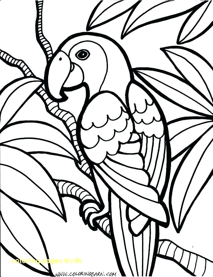 736x957 Flying Bird Coloring Pages Bird Printable Coloring Pages Bird