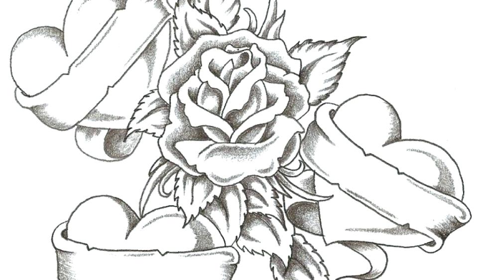 960x562 Free Coloring Pages For Adults Roses Free Coloring Pages Of Roses