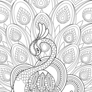 Free Printable Coloring Pages For Adults Pdf