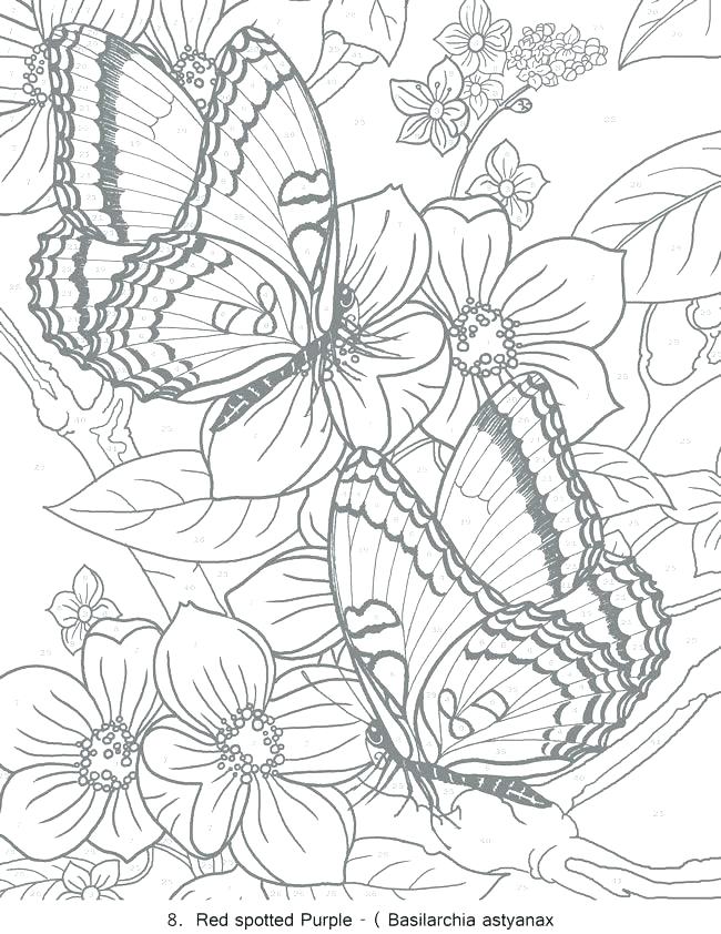 650x842 Coloring Pages For Adults To Print Free Coloring Pages For Adults