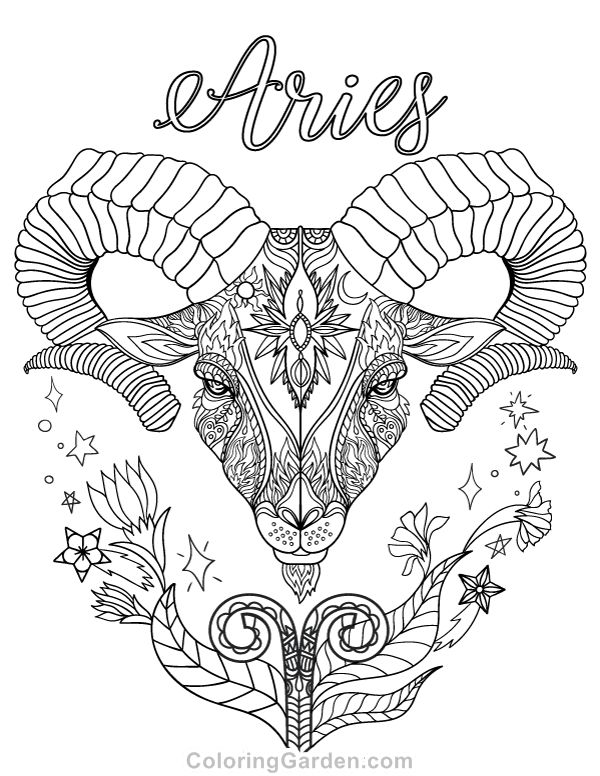 600x776 92 Best Adult Coloring Pages