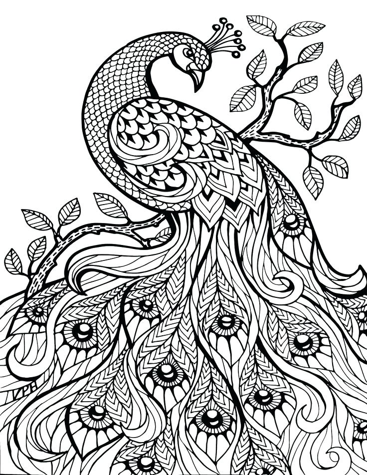 736x952 Printable Coloring Pages For Adults Only