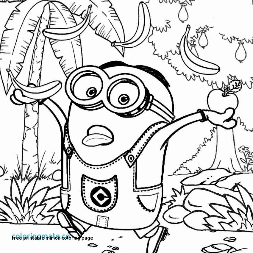 Free Printable Coloring Pages Minions