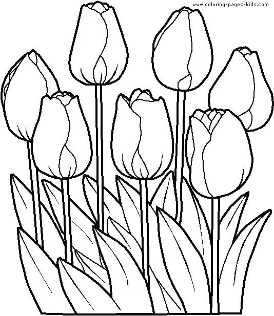 534x617 Coloring Book Pages Flowers Coloring Book Pages Flowers High