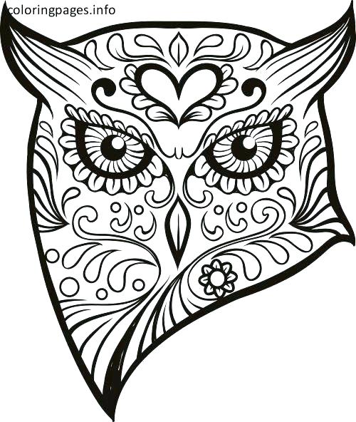 500x592 Sugar Skull Coloring Pages Printable Skull Printable Coloring