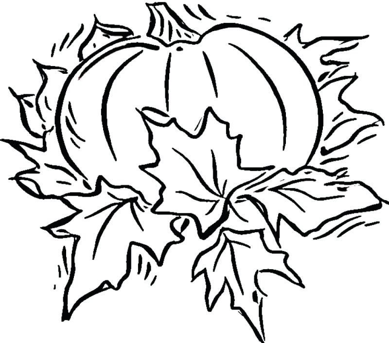 800x706 Pumpkin Coloring Pages For Kids