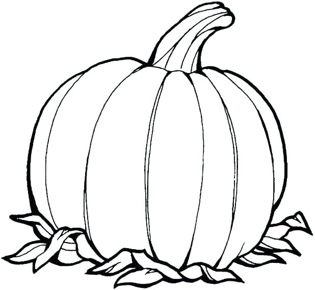 618x568 Coloring Pumpkin Pictures Printable Coloring Pages Pumpkins