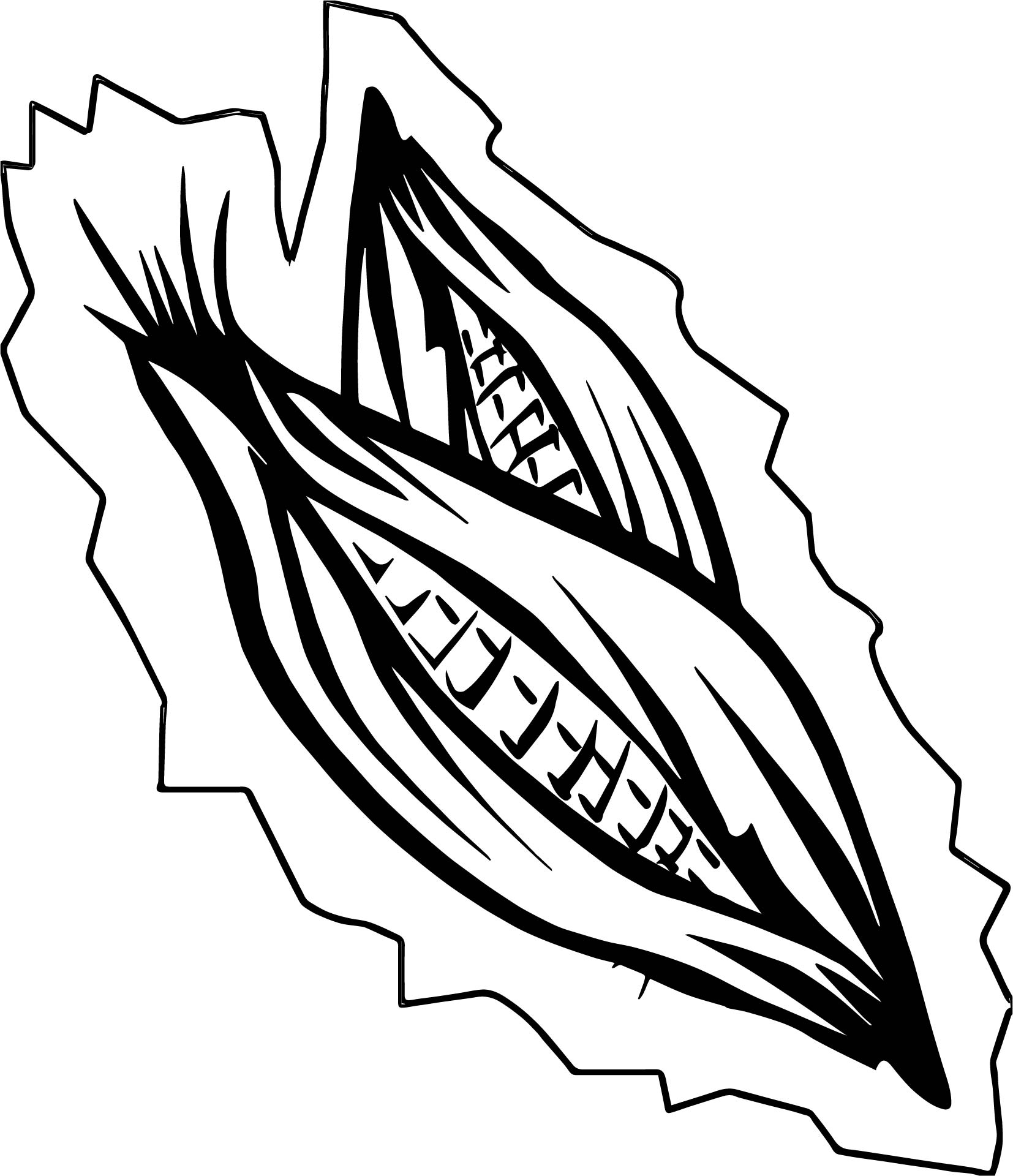1654x1920 Coloring For Kids Amazing Pages Corn Cornucopia Pdf Of Snakes Free