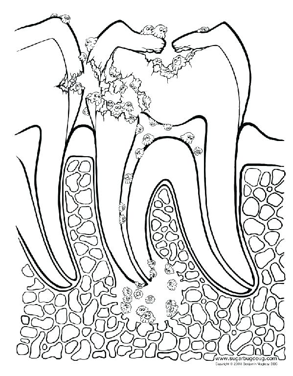 599x768 Free Dental Coloring Pages Best Free Printable Dental Coloring