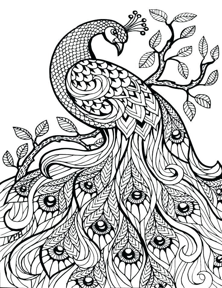 736x952 Mandala Art Coloring Pages Splendid Ideas Free Printable Mandala