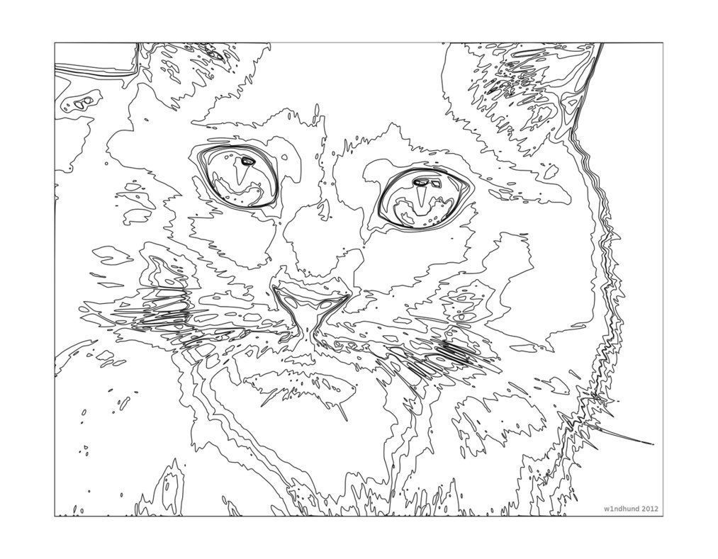 1013x789 Challenging coloring pages Difficult Color By Numbers Coloring