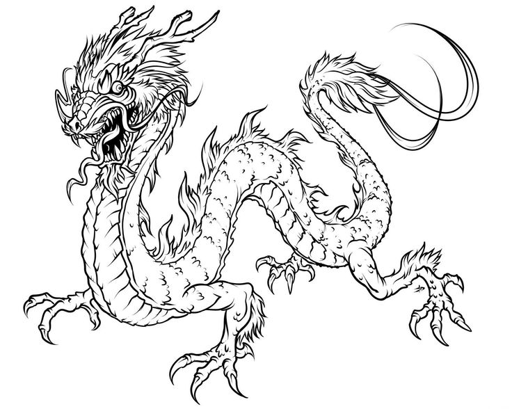 736x588 Dragon Coloring Pages For Adults