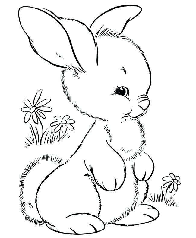 650x790 Easter Bunny Coloring Pages Detail Bunny Coloring Page Easter