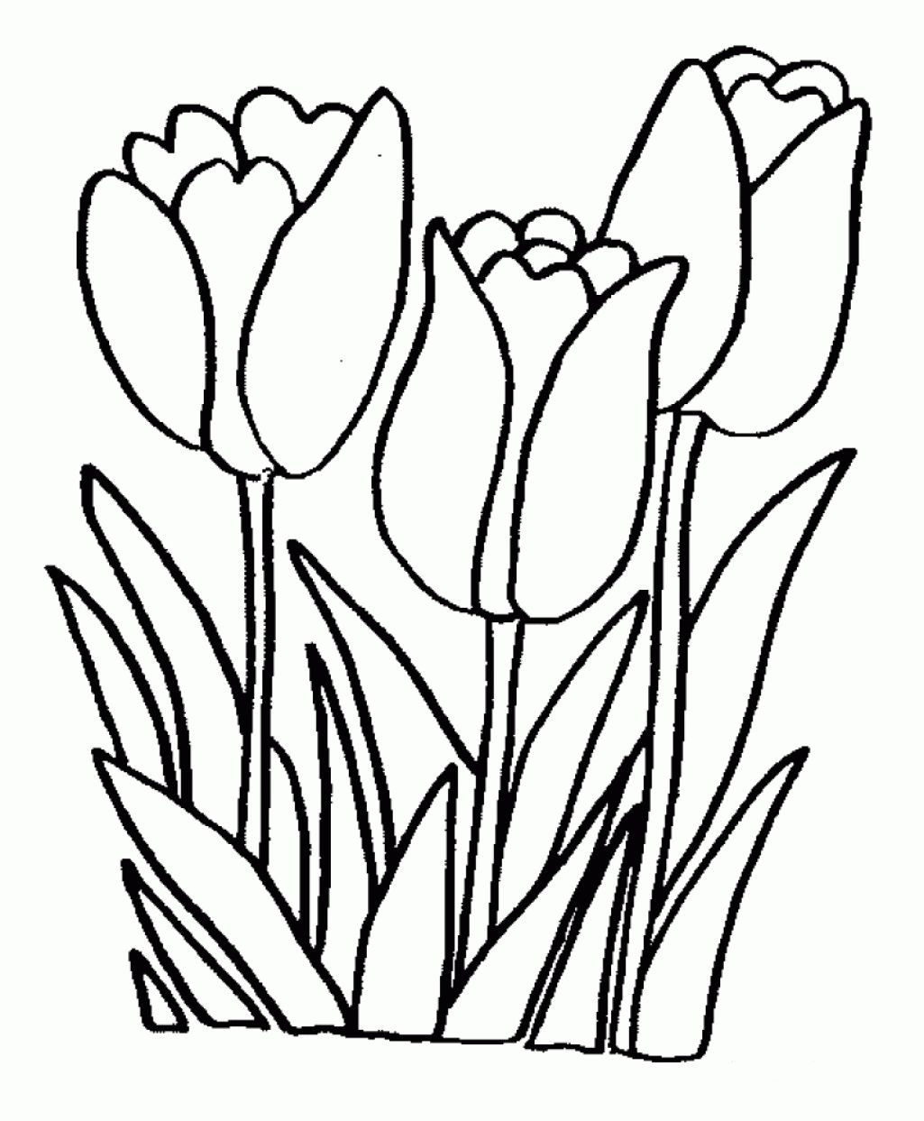 Free Printable Easy Coloring Pages