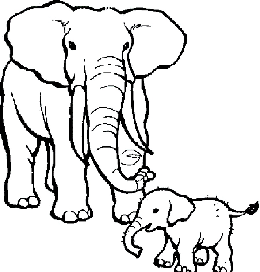 900x942 Elephant Coloring Page Circus Pages Download Big With Two Coloring