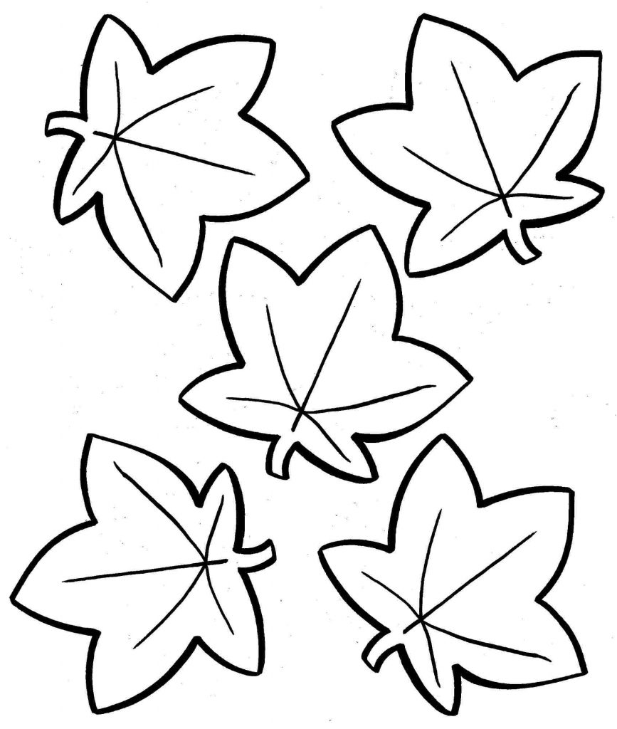867x1024 Pictures Of Fall Leaves To Color
