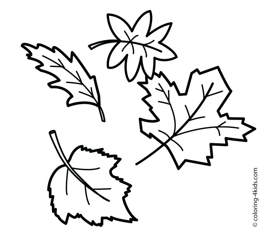 863x771 Big Fall Leaves Coloring Pages Printable Coloring Coloring Page