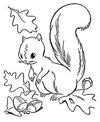327x400 Coloring Pages Fall Coloring Pages Fall Printable Autumn Leaf