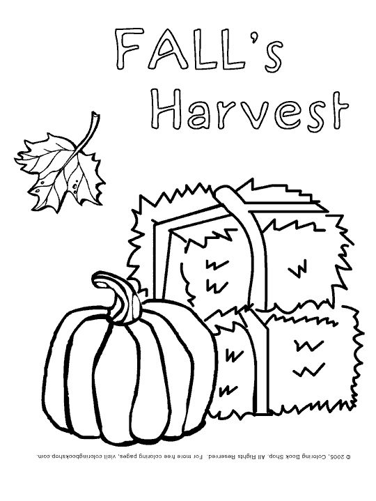 Free Printable Fall Harvest Coloring Pages