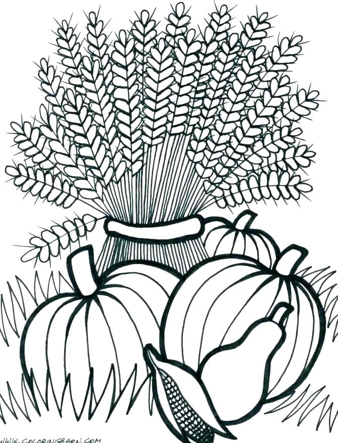 671x879 Harvest Coloring Pictures