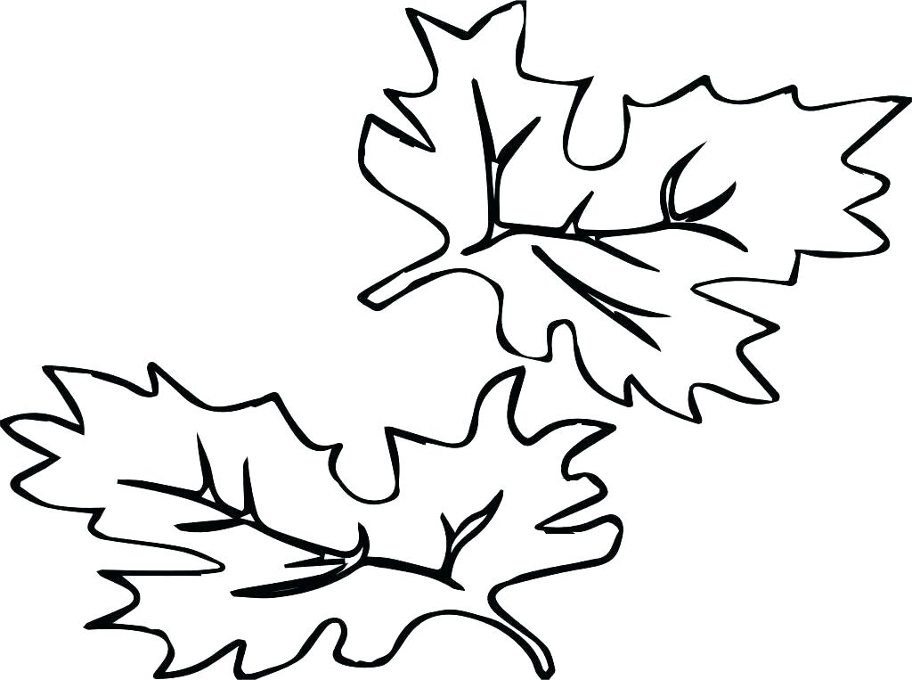 1024x763 Fall Color Sheets Printable Autumn Leaves Coloring Pages Fall