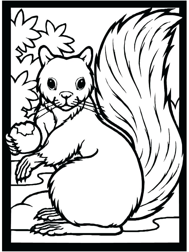 736x980 Fall Coloring Pages Printable Free
