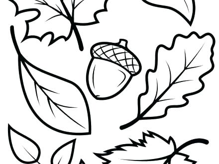 440x330 Free Printable Autumn Leaves Coloring Pages Leaves Coloring Pages