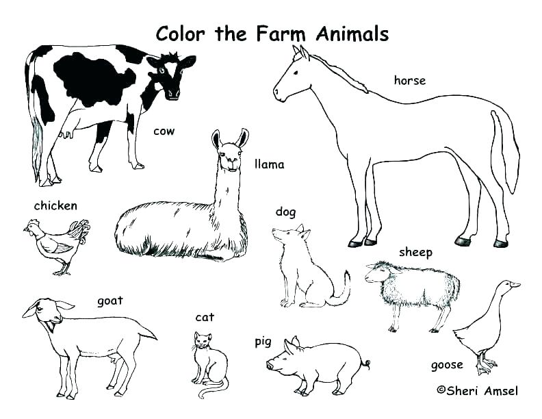 792x612 Zoo Animal Coloring Page Free Printable Farm Animal Coloring Pages