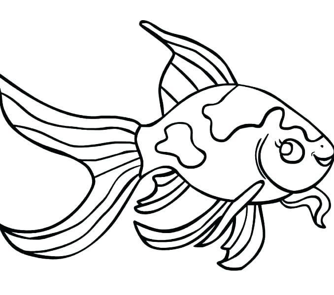 678x600 Fishes Coloring Pages About Coloring Pages Realistic Tropical Fish