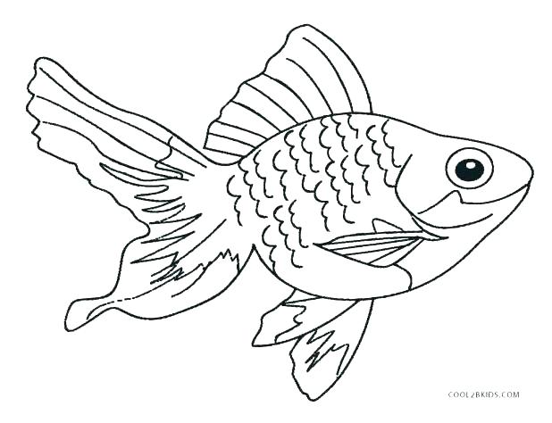 618x474 Realistic Fish Coloring Pages