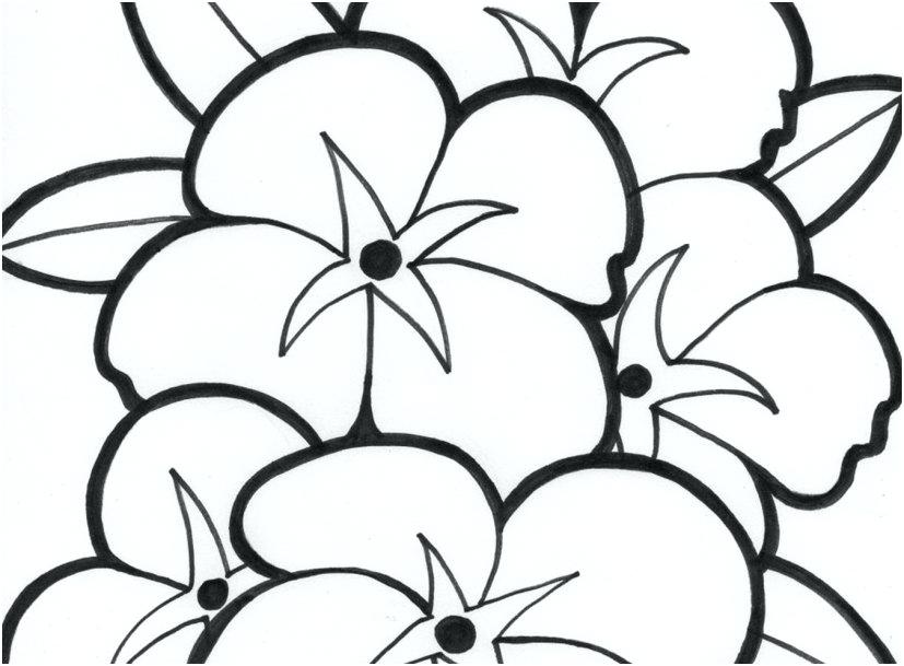 827x609 Free Flower Coloring Pages Pdf