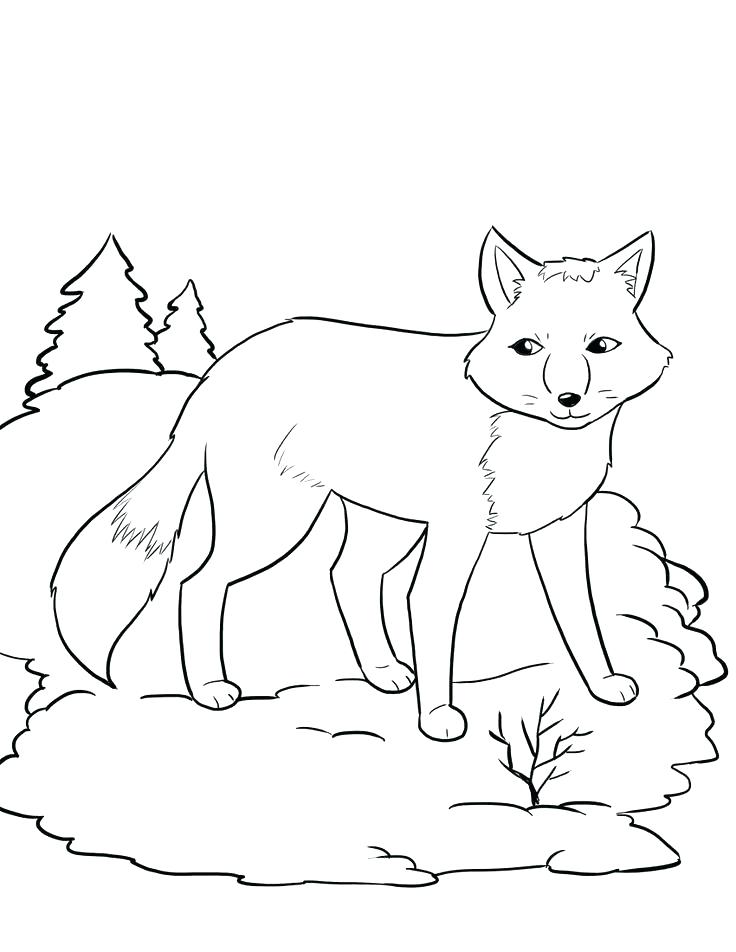 736x952 Fox And The Hound Coloring Pages Red Fox Coloring Pages Inspiring