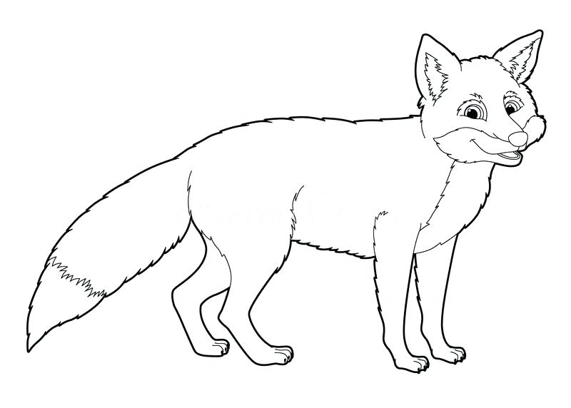 800x572 Fox Coloring Pages Cartoon Animal Fox Coloring Page Royalty Free