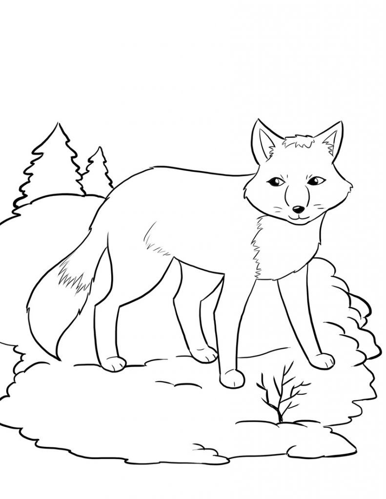 791x1024 Free Printable Fox Coloring Pages For Kids Foxes, Free Printable