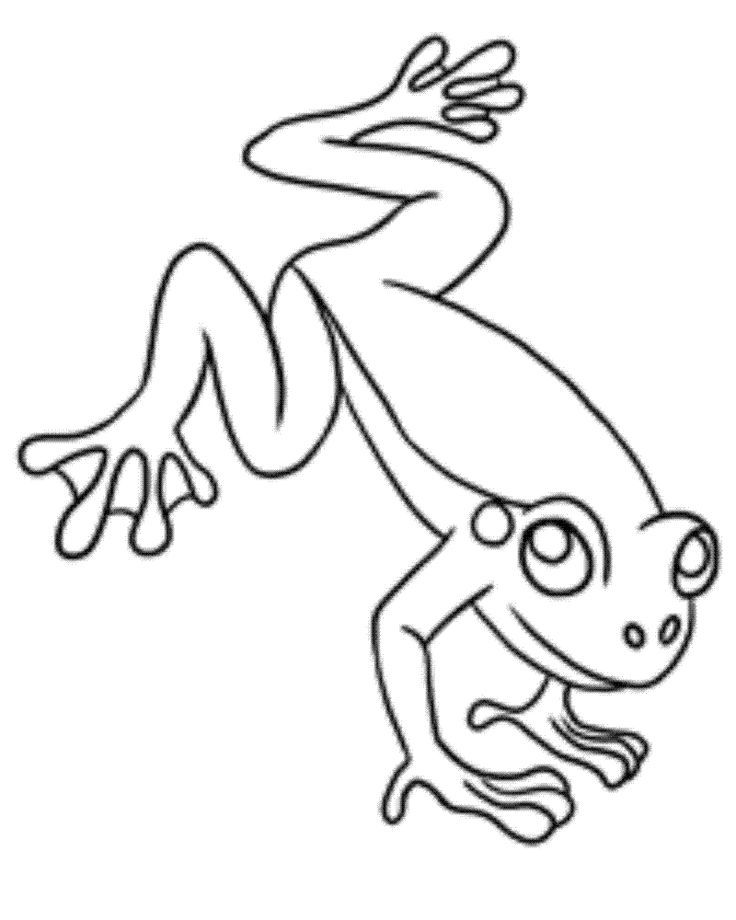 736x920 Free Printable Frog Coloring Pages Kids Free Printables