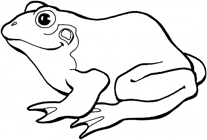 700x474 Frog Coloring Pages 360coloringpages