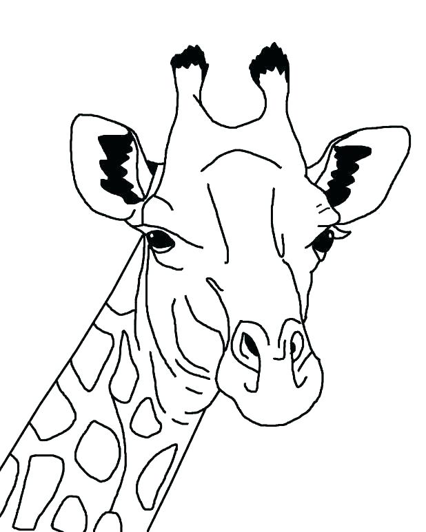 618x773 Free Printable Giraffe Colouring Pages Baby Coloring Cartoon Plus
