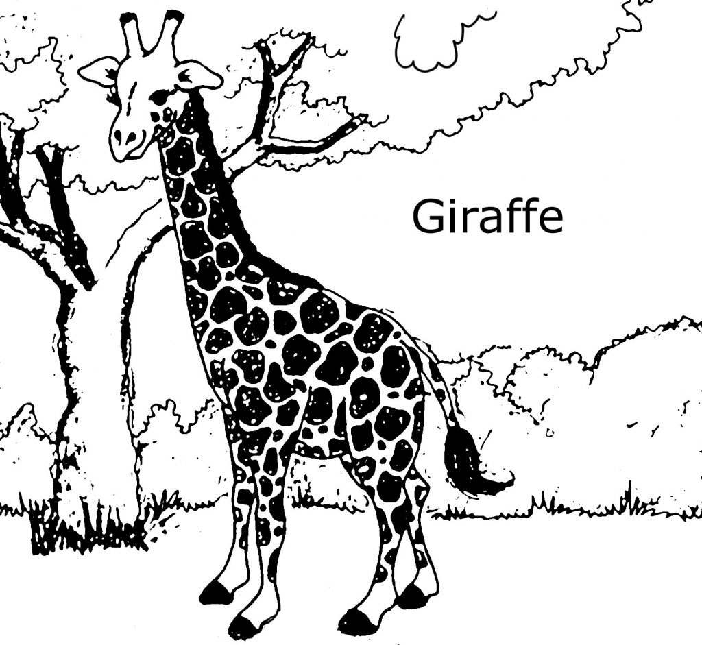 1024x941 Giraffe Coloring Page Awesome Free Printable Giraffe Coloring