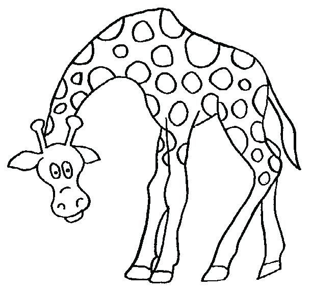 610x573 Printable Giraffe Coloring Pages Giraffes Coloring Pages Giraffe