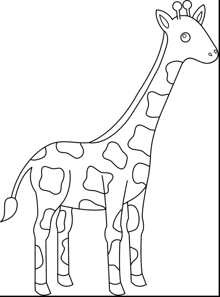 759x1024 Giraffe Coloring Pages Printable Shippa.co