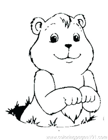 378x486 Groundhog Coloring Page Groundhog Day Scratching Head Coloring