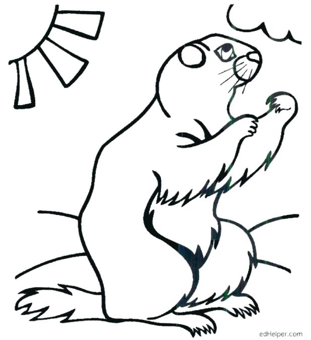 618x674 Animal Groundhog Day Coloring Pages Kids Many Interesting 4 Best