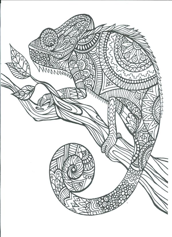 600x825 Printable Adult Coloring Pages Art Adult Coloring Books Art
