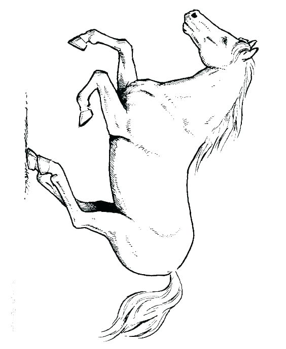 564x690 Free Horse Coloring Pages Carousel Coloring Page Carousel Coloring