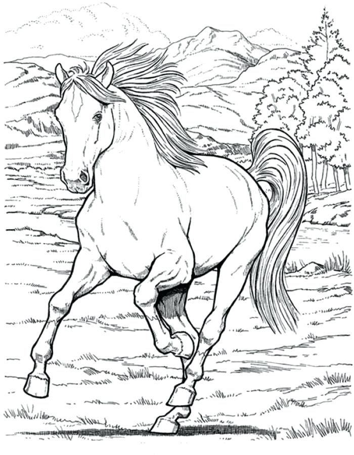 700x900 Realistic Horse Coloring Pages