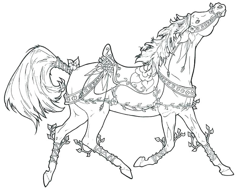 800x620 Horse Coloring Pages Free Carousel Coloring Pages Adult Coloring